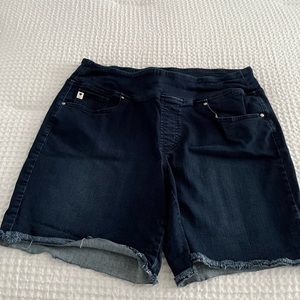 Belle Kim Gravel tripleluxe 8” inseam short size 16